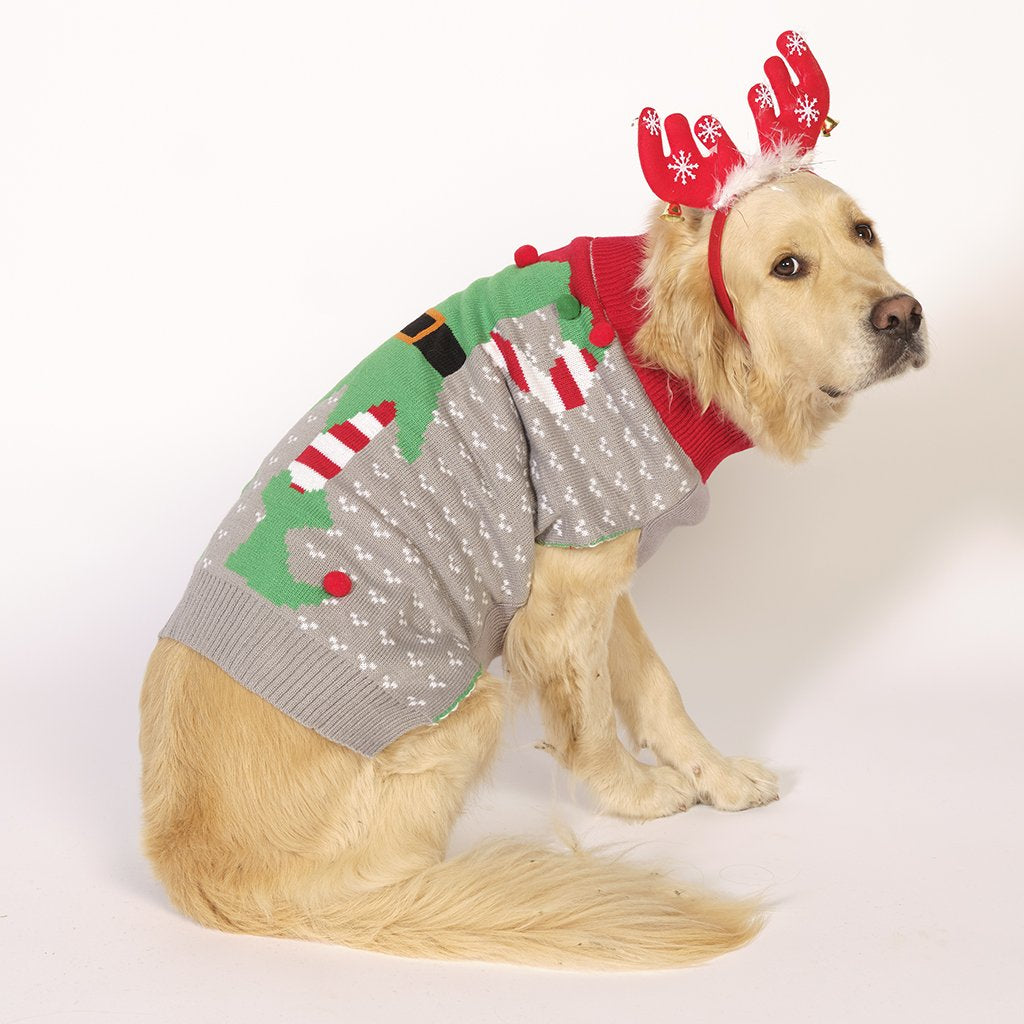 En hund med en grå jultröja.